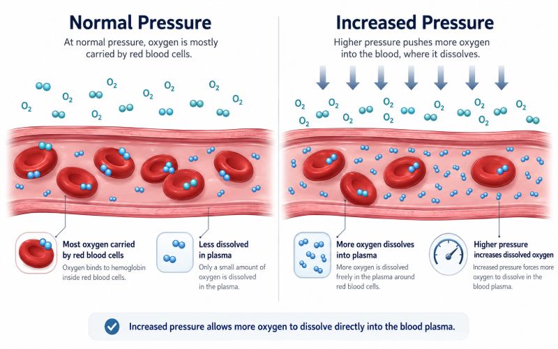 Illustration showing oxygen dissolving into blood under increased pressure