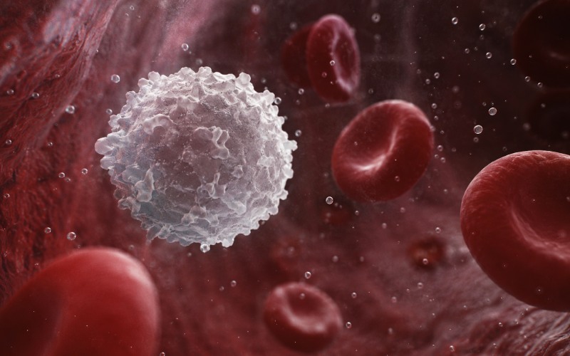 Immune cell surrounded by red blood cells and oxygen